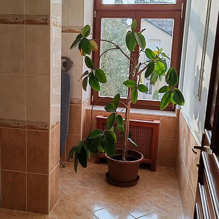 Elegant In The Center Of Appartement *